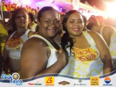 Bloco Skol Folia